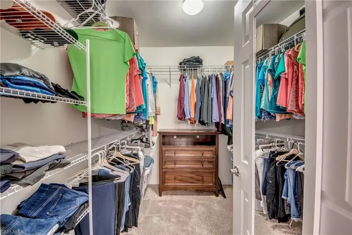 Spacious closet featuring carpet
