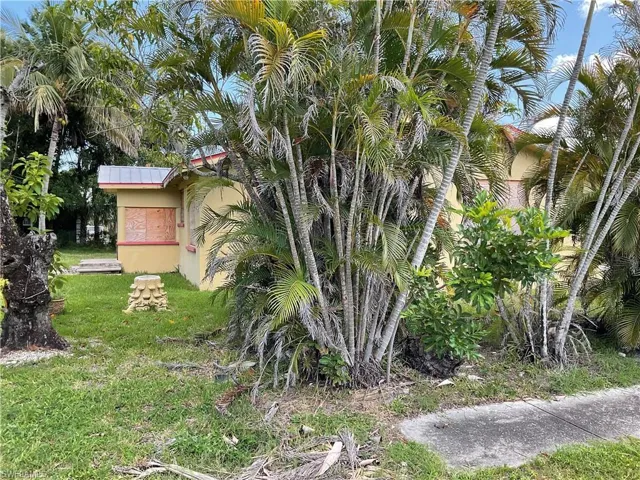 View of grassy yard
