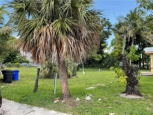 View of green lawn