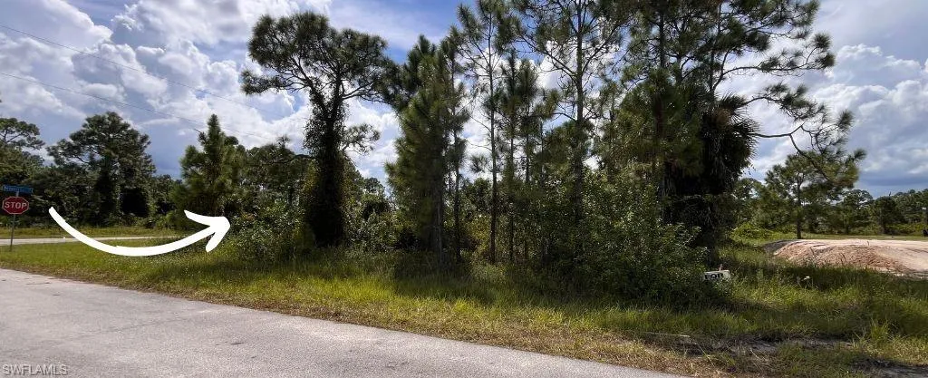 View of road
