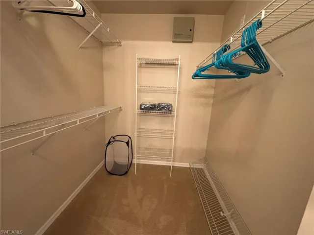 Spacious closet featuring carpet floors