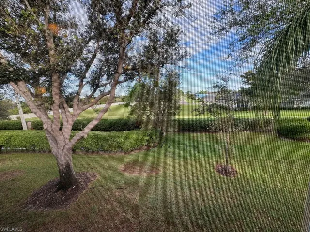View of yard through screen patio