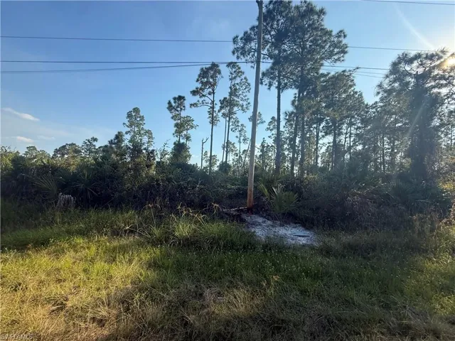 View of undeveloped land