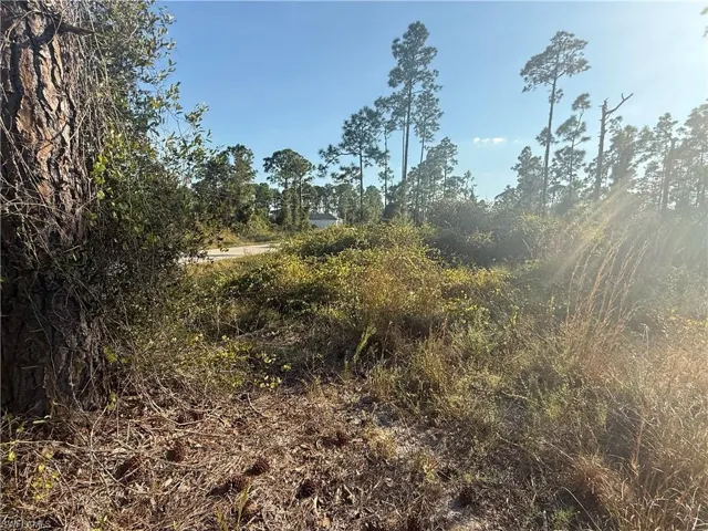 View of nature