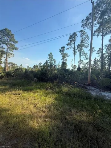 View of local wilderness