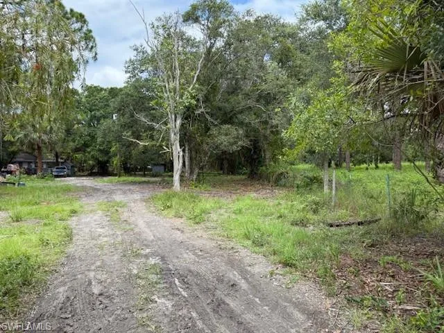 View of dirt / gravel driveway with a view of trees