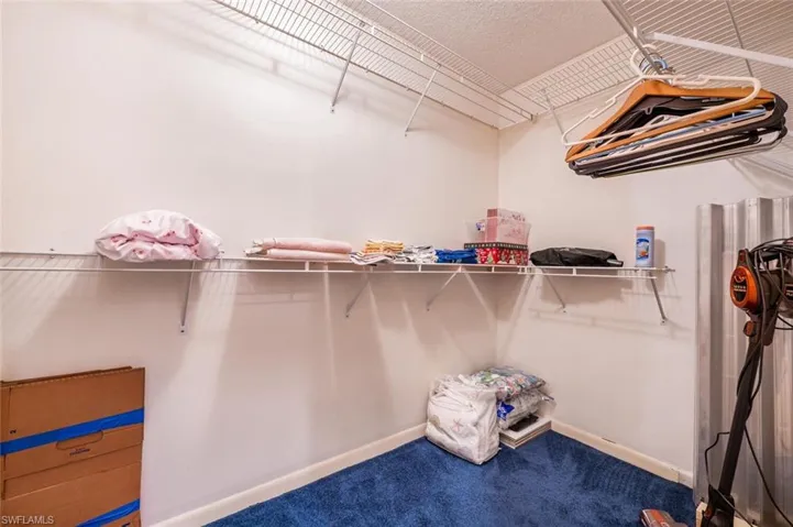 Large walk-in well organized closet.