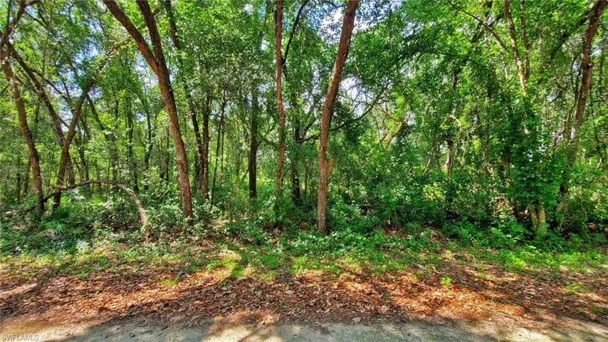Wooded property featuring mature trees and abundant foliage