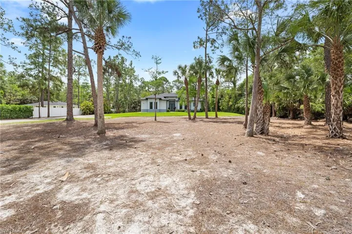 The property features a spacious yard with a mix of mature pine and palm trees, leading to a modern-style residence with a dark roof and light-colored exterior