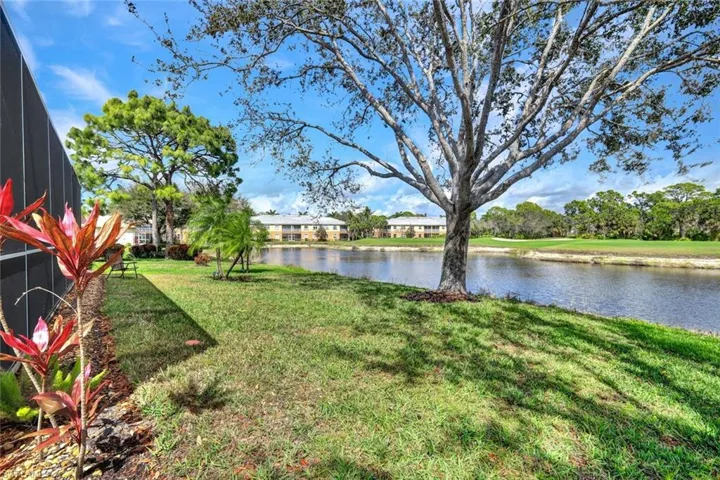 View of yard and pond beyond the lanai.