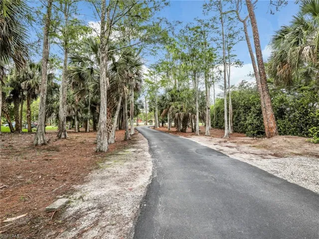 View of road