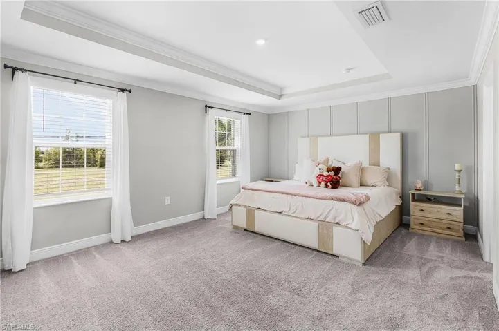 Spacious room featuring a tray ceiling with crown molding, wainscoting accent wall, two large windows, and neutral carpeting
