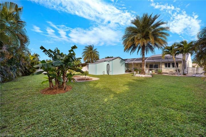 View from back yard with banana, orange, mango and lemon trees.