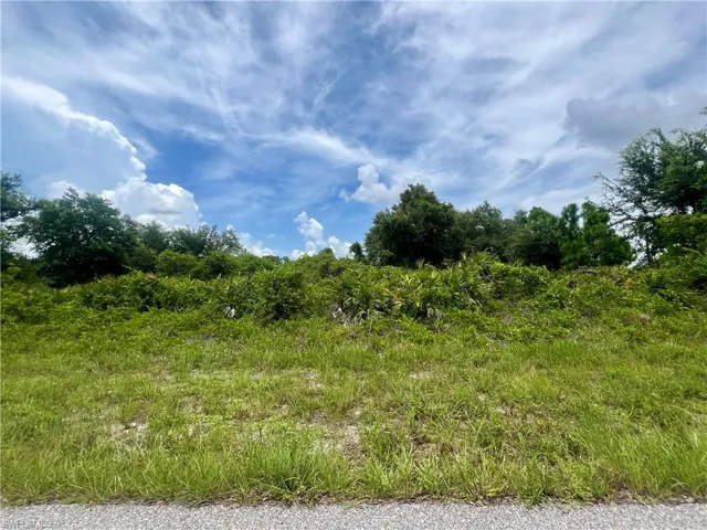 View of undeveloped land