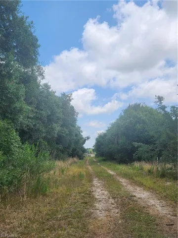 Drive way