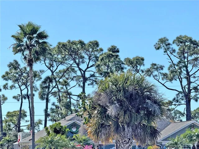 1130 Sw Trafalgar Pkwy, Cape Coral, Florida 33991