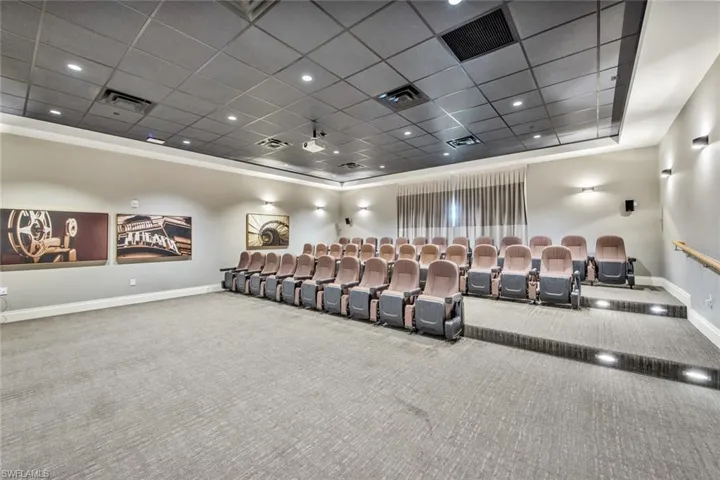 Cinema with a tray ceiling, carpet floors, and a drop ceiling