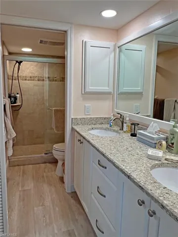 En suite featuring double vanity, walk-in shower, and walk-in closet