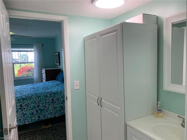 Extra Storage Cabinet near Large walk in Closet