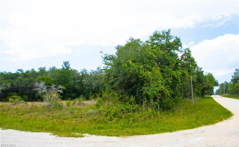 Alloy  ST, WEBSTER, FL 33597