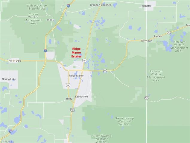 Alloy  ST, WEBSTER, FL 33597