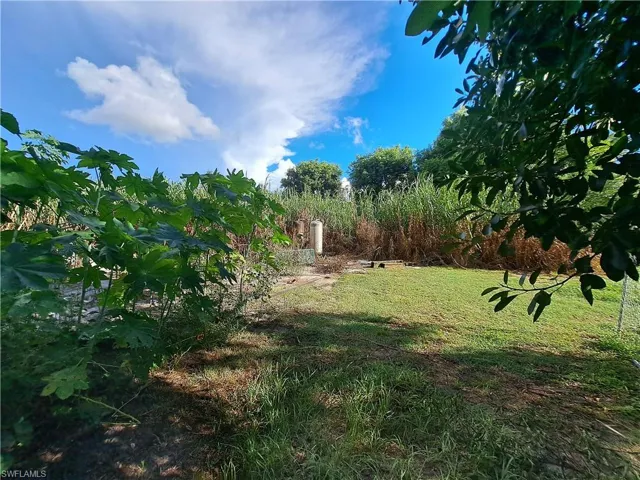 View of grassy yard