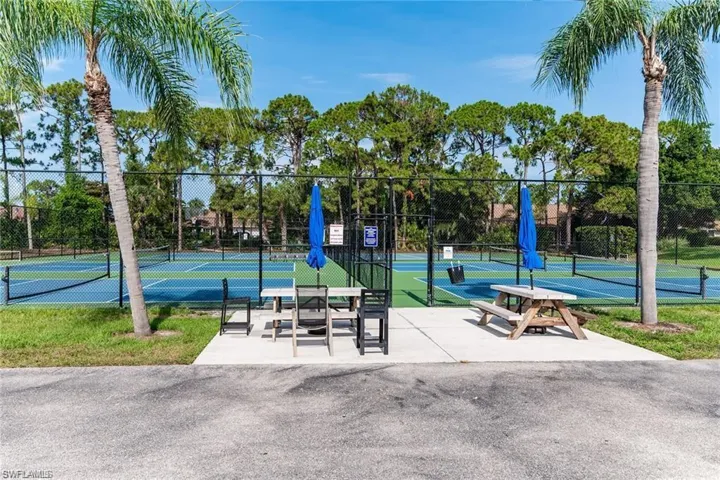 Pickle ball and tennis