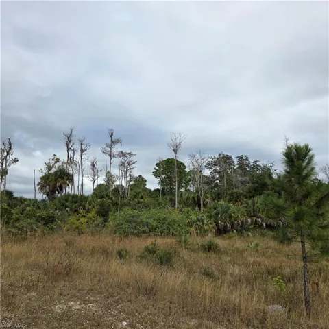 View of the small section from the back of the lot on the far Left side of the lot