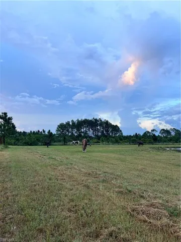 View of grassy yard with a rural view