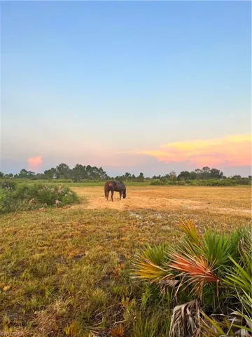 Yard at dusk with a view of rural / pastoral area