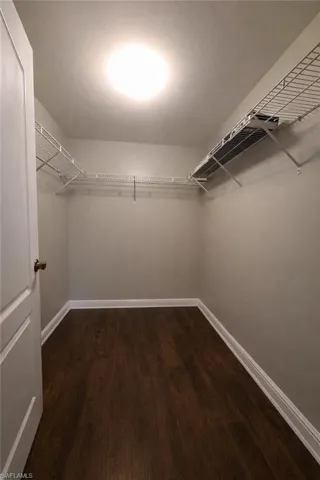 Walk in closet featuring dark wood-style floors
