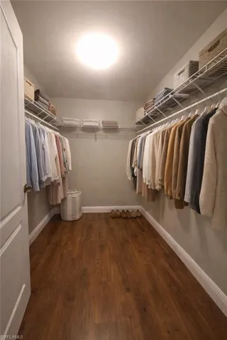 Walk in closet with dark wood-type flooring