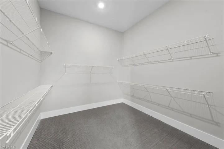 Walk in closet with dark colored carpet