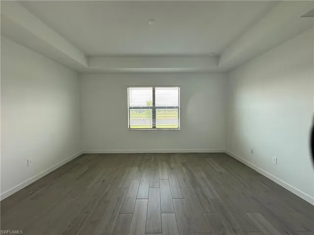 Spare room with a raised ceiling and dark hardwood / wood-style flooring
