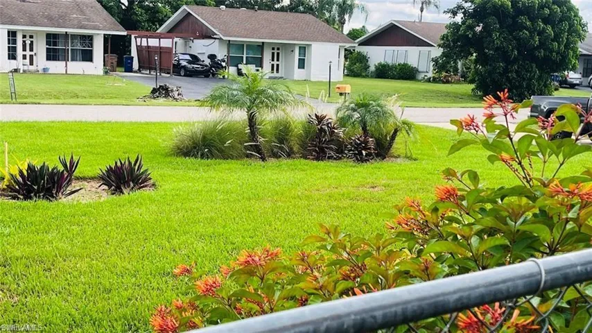 View of grassy yard
