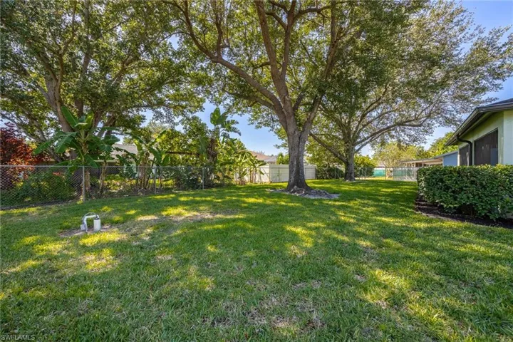 Backyard