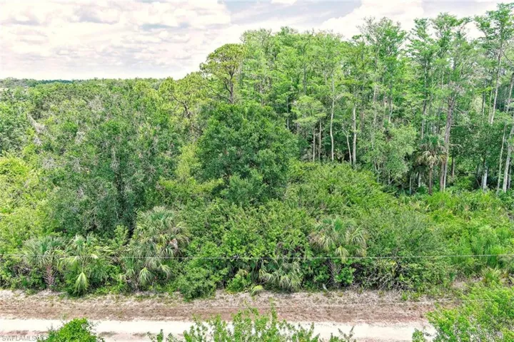 View of wooded area