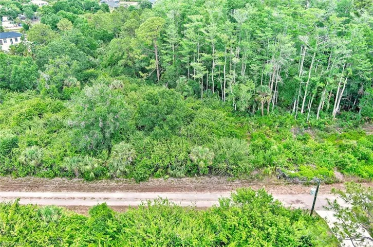 View of tree filled area