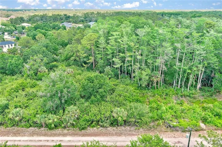 Bird's eye view of a heavily wooded area