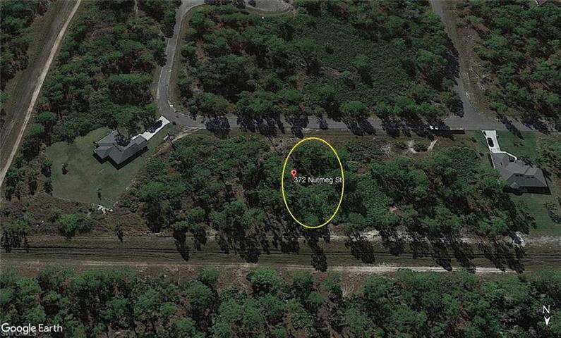 The Greenbriar Preserve is one of the largest nature preserves in East Lee County. Quick access to Joel Blvd, SR 80 and I-75.