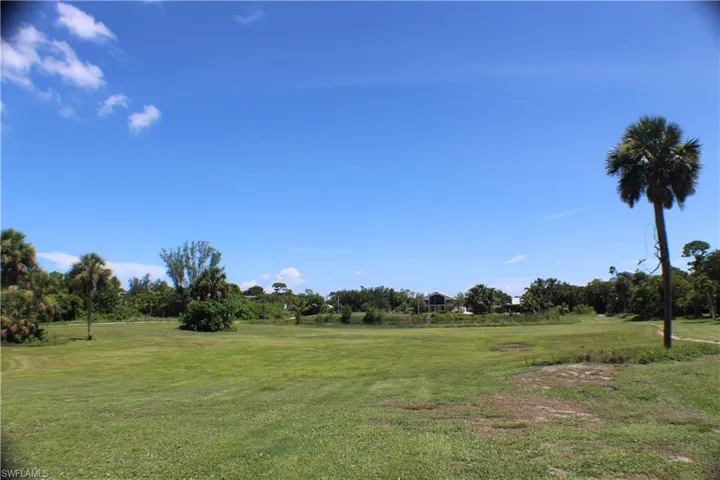 View of grassy yard