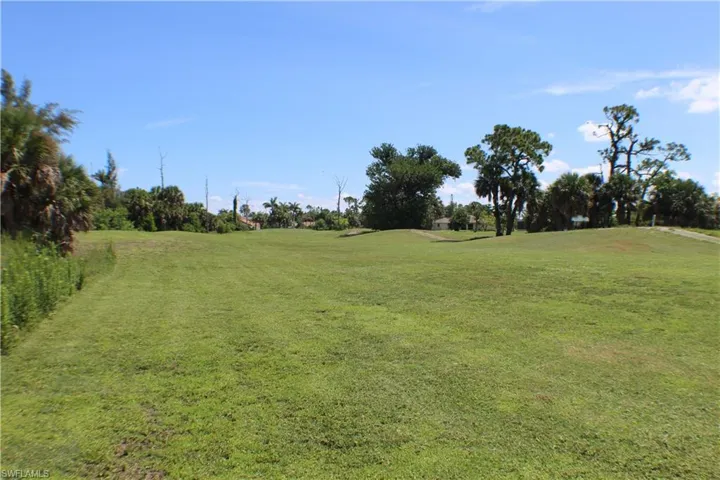 View of grassy yard