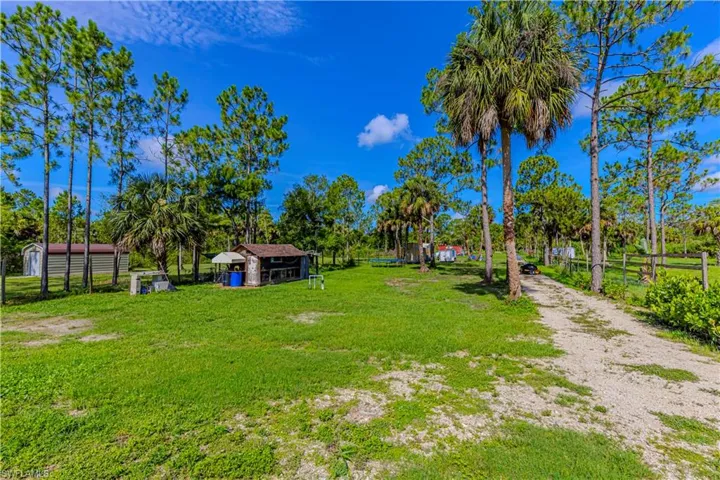 View of yard featuring a storage shed