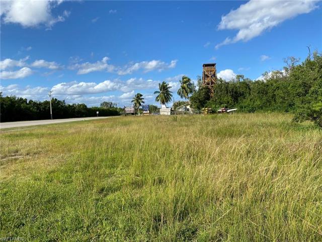 SITE LOOKING NORTH