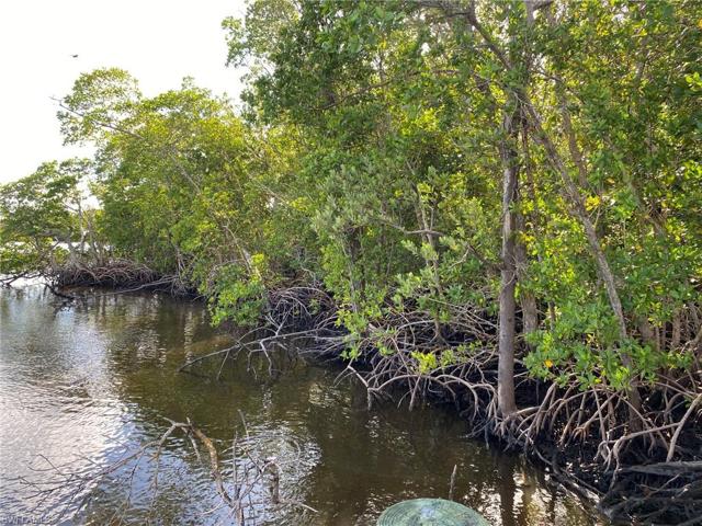 MANGROVES ALONG PROPERTY LINE