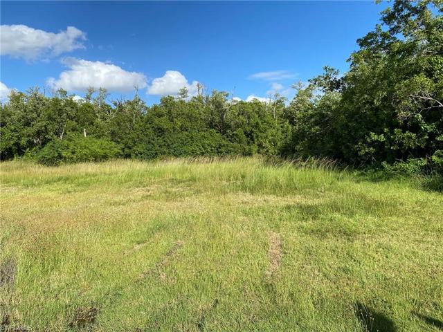 SITE