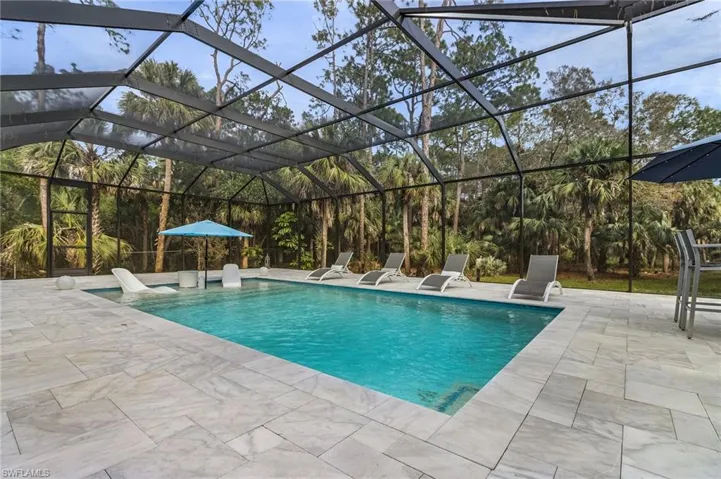 View of pool featuring a lanai and a patio