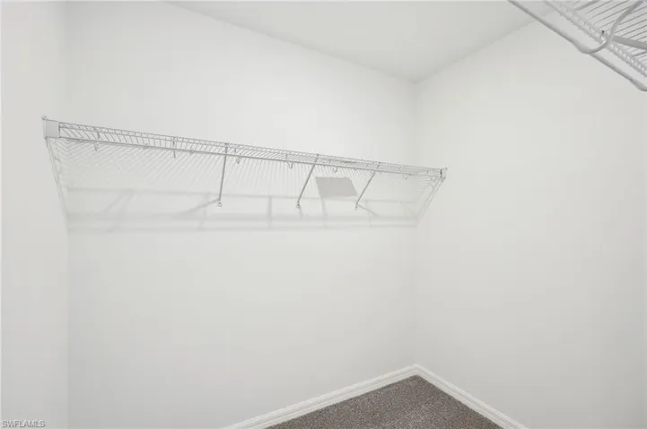 Walk in closet featuring carpet floors