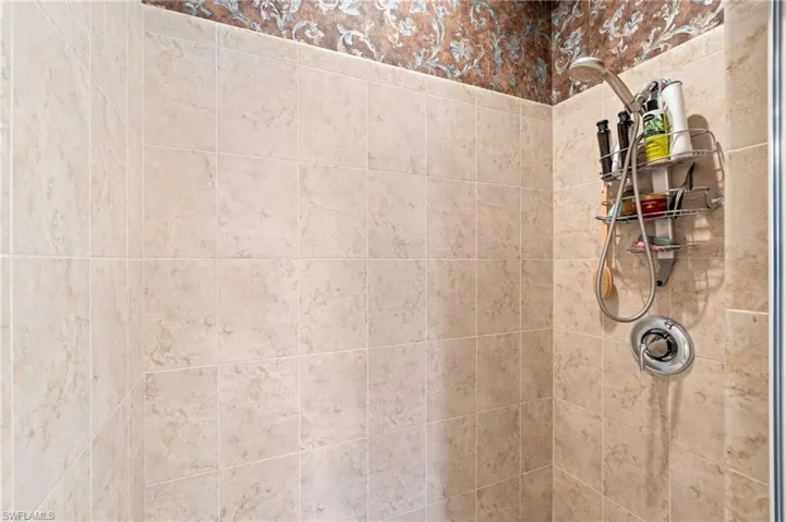 Interior details with tiled shower