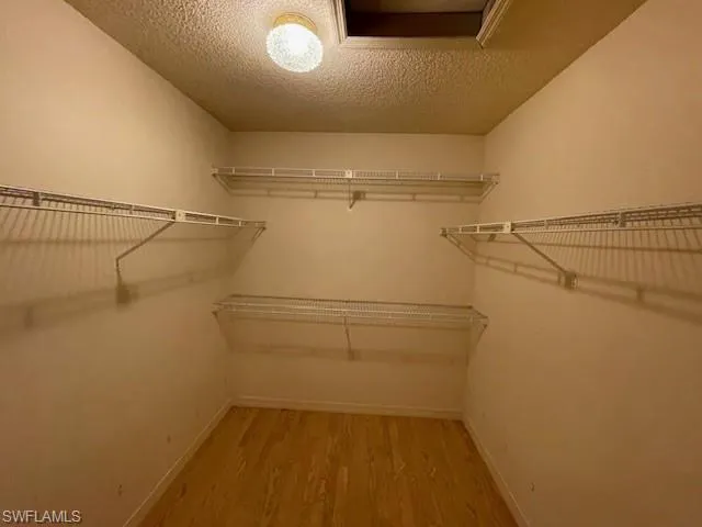 Spacious closet featuring light wood finished floors